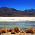 Laguna Colorada, Bolivija