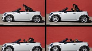 Mini roadster