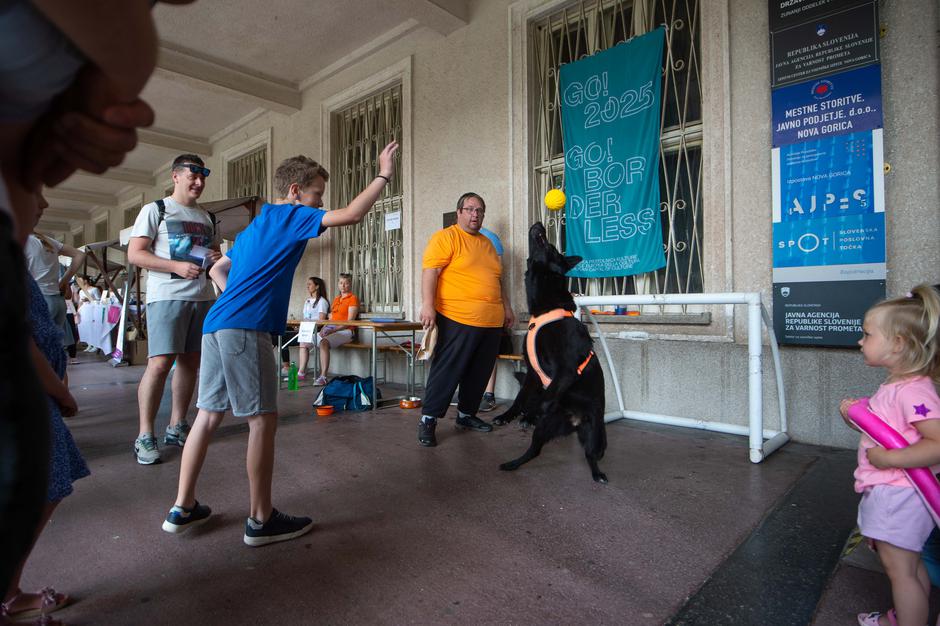 Festival za ljubitelje živali 2023 | Avtor: Anže Petkovšek