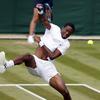 Gael Monfils