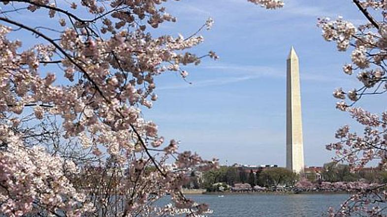 Obisk Washingtona je boljši kot listanje učbenika ameriške zgodovine.