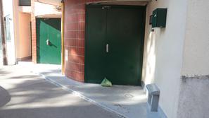 prašičja glava pred mošejo v Parizu