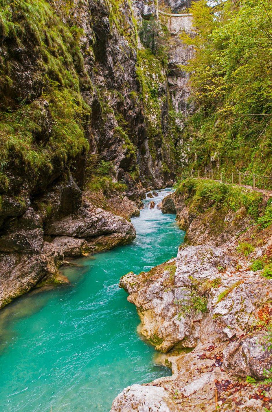 Tolminska korita | Avtor: Profimedia