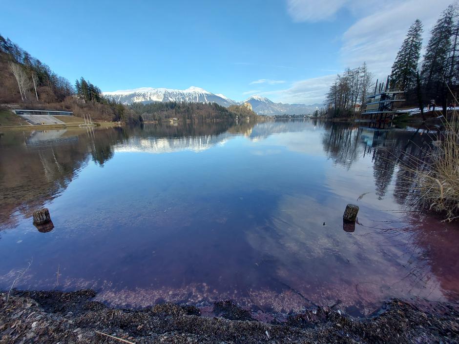 Bled, Blejsko jezero, cvetenje, alge | Avtor: M. Ha.