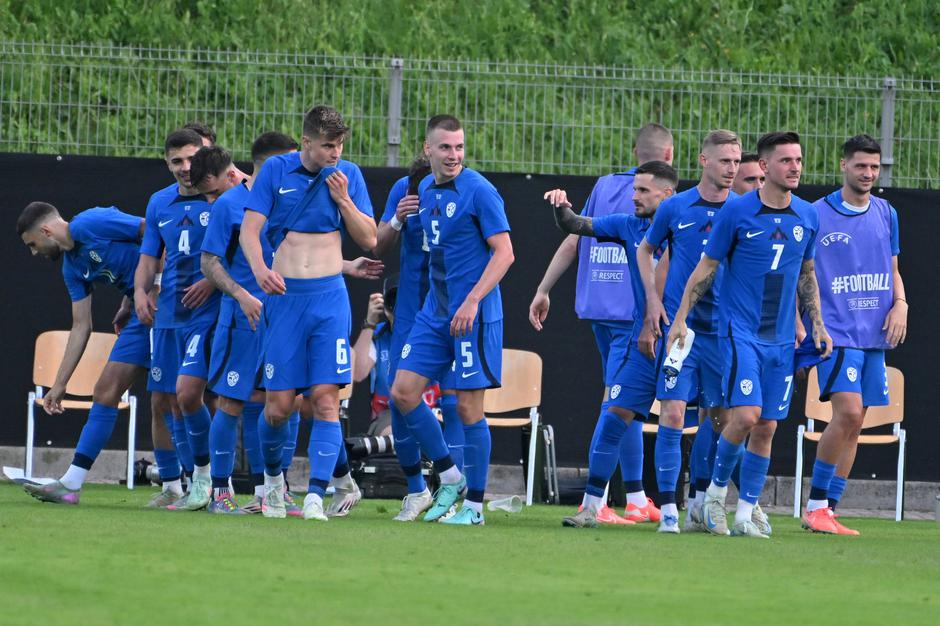 slovenska nogometna reprezentanca | Avtor: Profimedia
