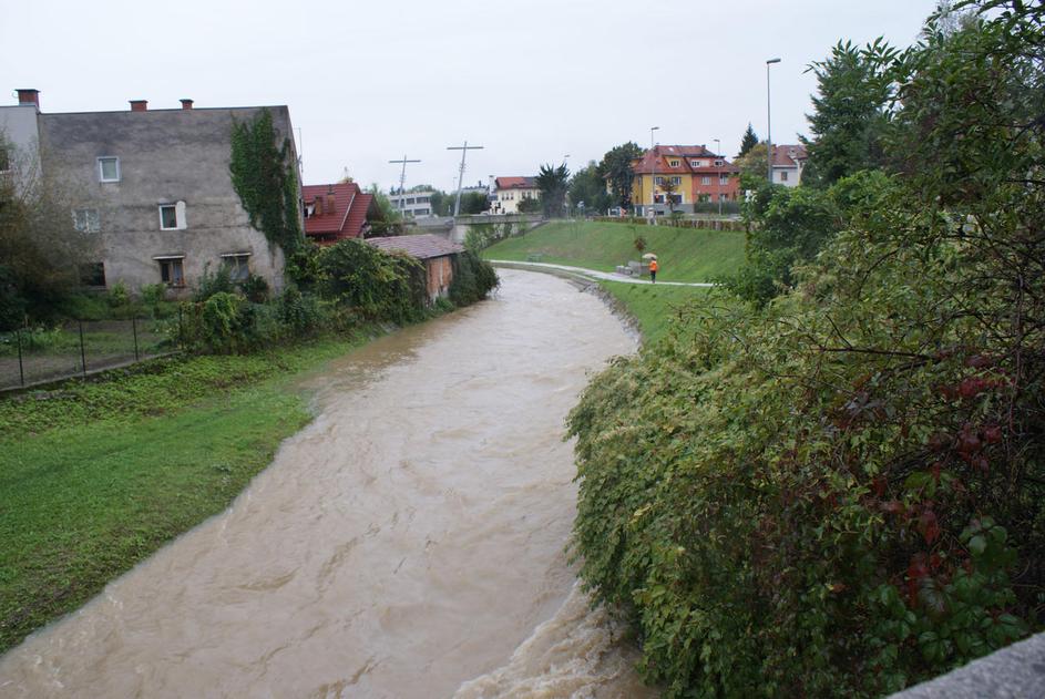 Gradaščica (Foto: bralka Klavdija)