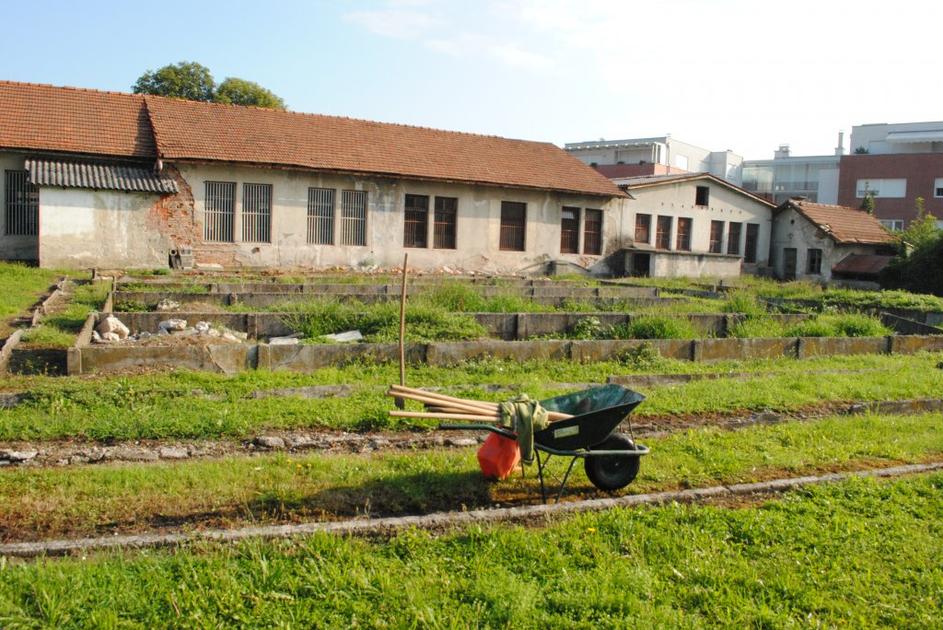 Prostovoljci so pomagali zapornikom urejati zelenice na Povšetovi ulici.