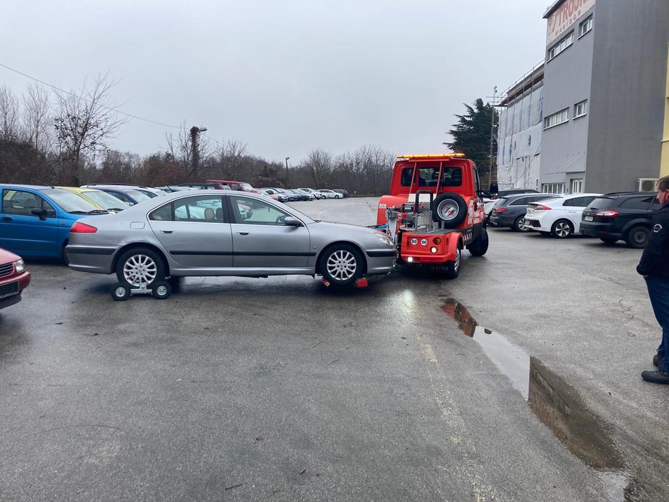 Pajek v Mariboru | Avtor: Marprom