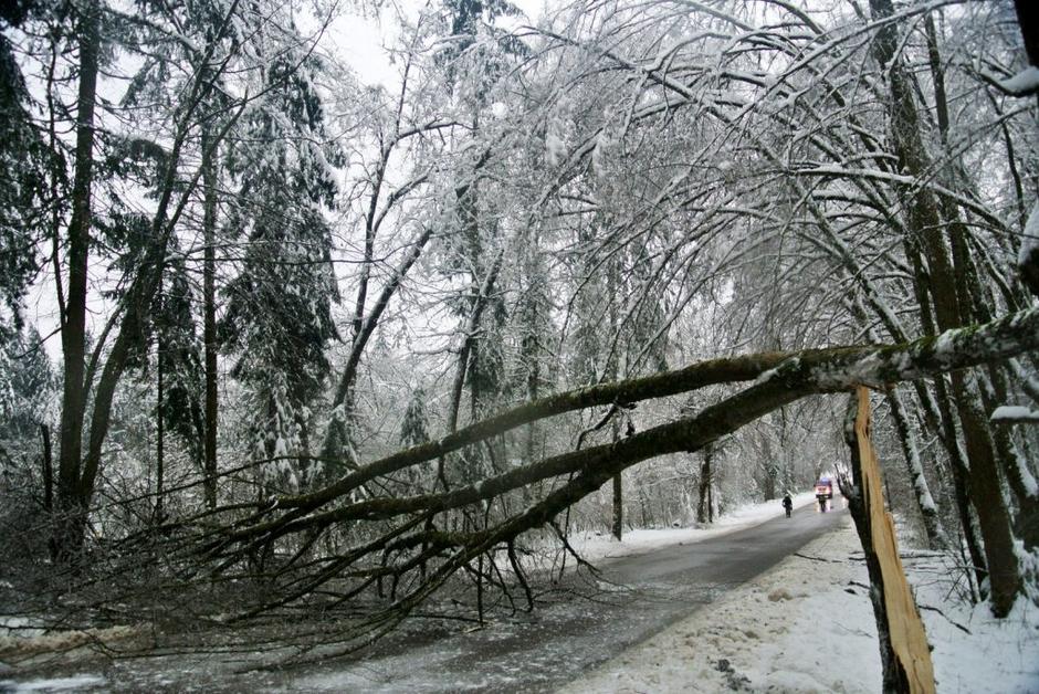 Žledolom | Avtor:  Gašper Stopar, PGD Dob pri Šentvidu 