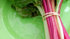Rabarbara za boljšo prebavo. (Foto: Shutterstock)