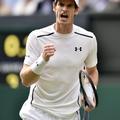 andy murray