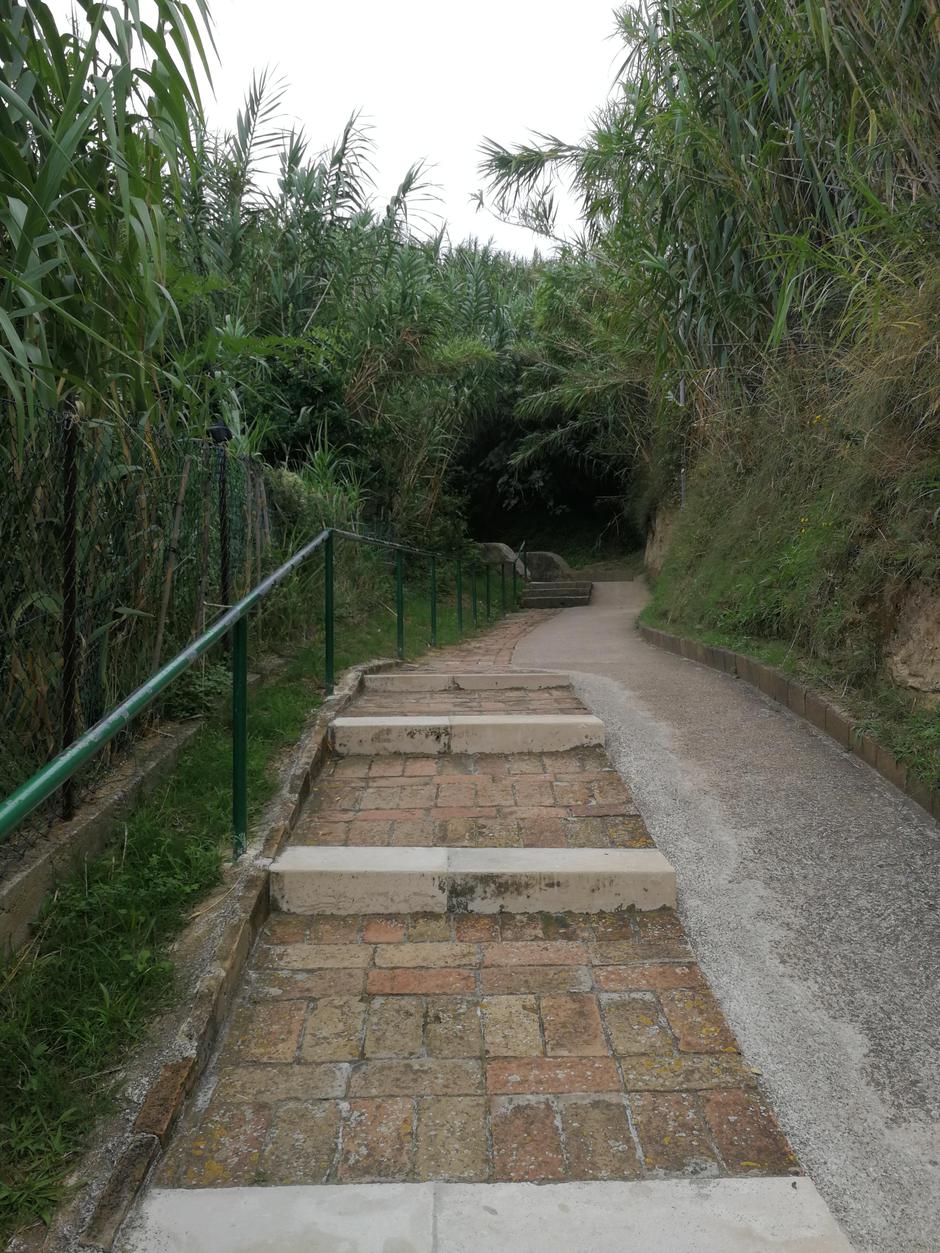 Otok Susak | Avtor: Martin Pavlovec