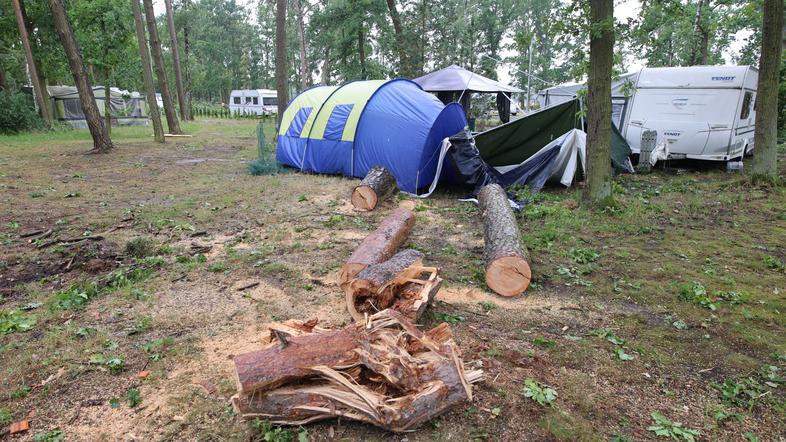 Kamp