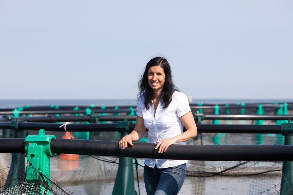 Ribe v šoku zaradi delfinov