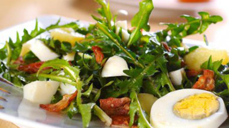 (Foto: Shutterstock)