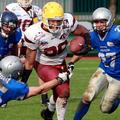 Lani so bili Vukovi za Silverhawks v Ljubljani usodni v polfinalu CEFL. (Foto: N