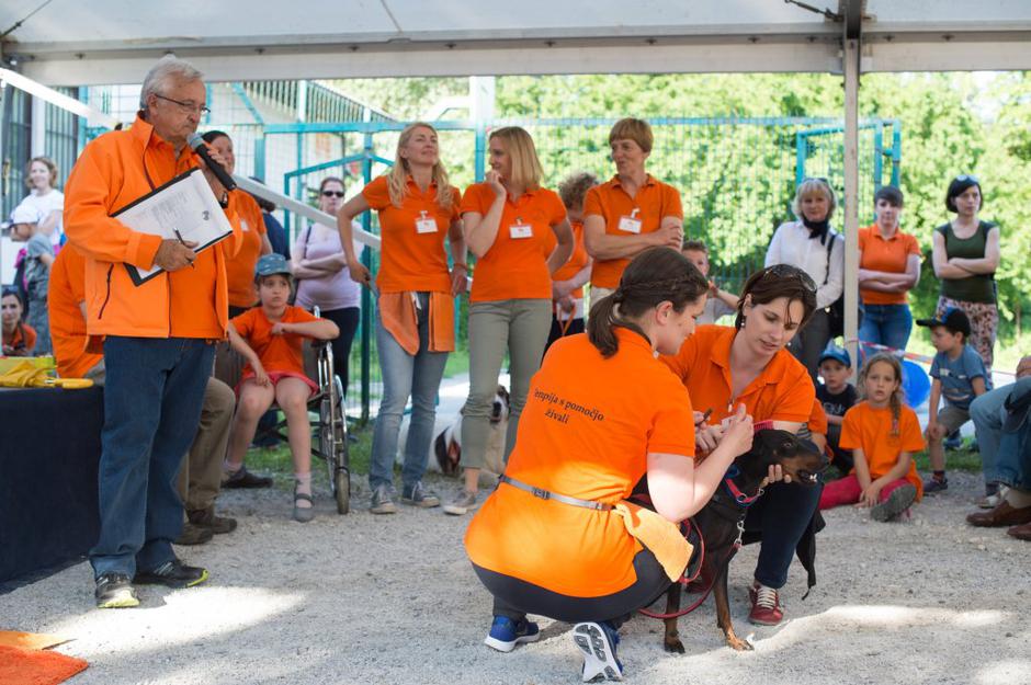 ambasadorji nasmeha | Avtor: Anže Petkovšek