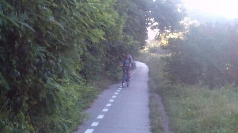 Zaraščena kolesarska steza