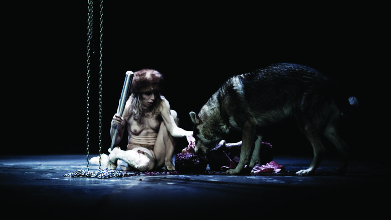 Cankarjev dom, Glej, Španski borci in Kinoteka so le nekatere od lokacij, na kat