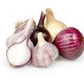 (Foto: Shutterstock)