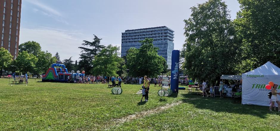 sejem | Avtor: M. K.