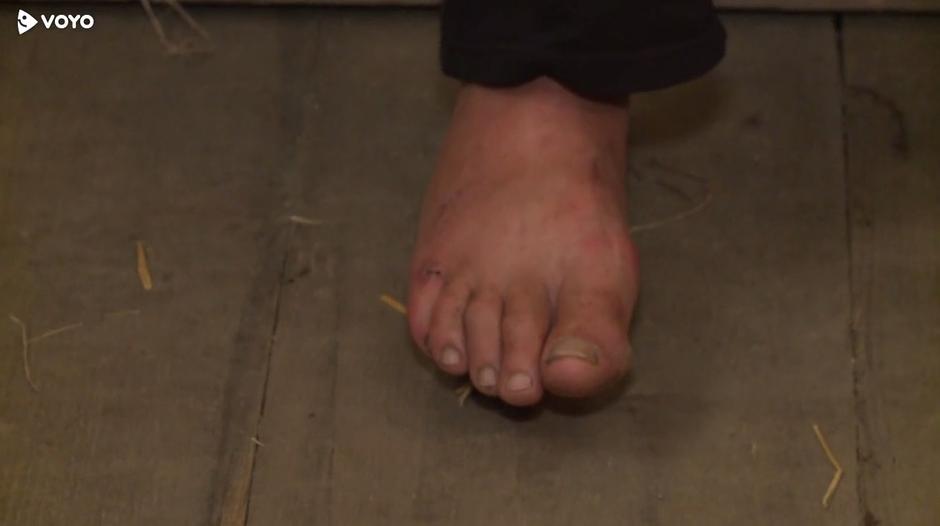 Silvo Korošec | Avtor: Voyo