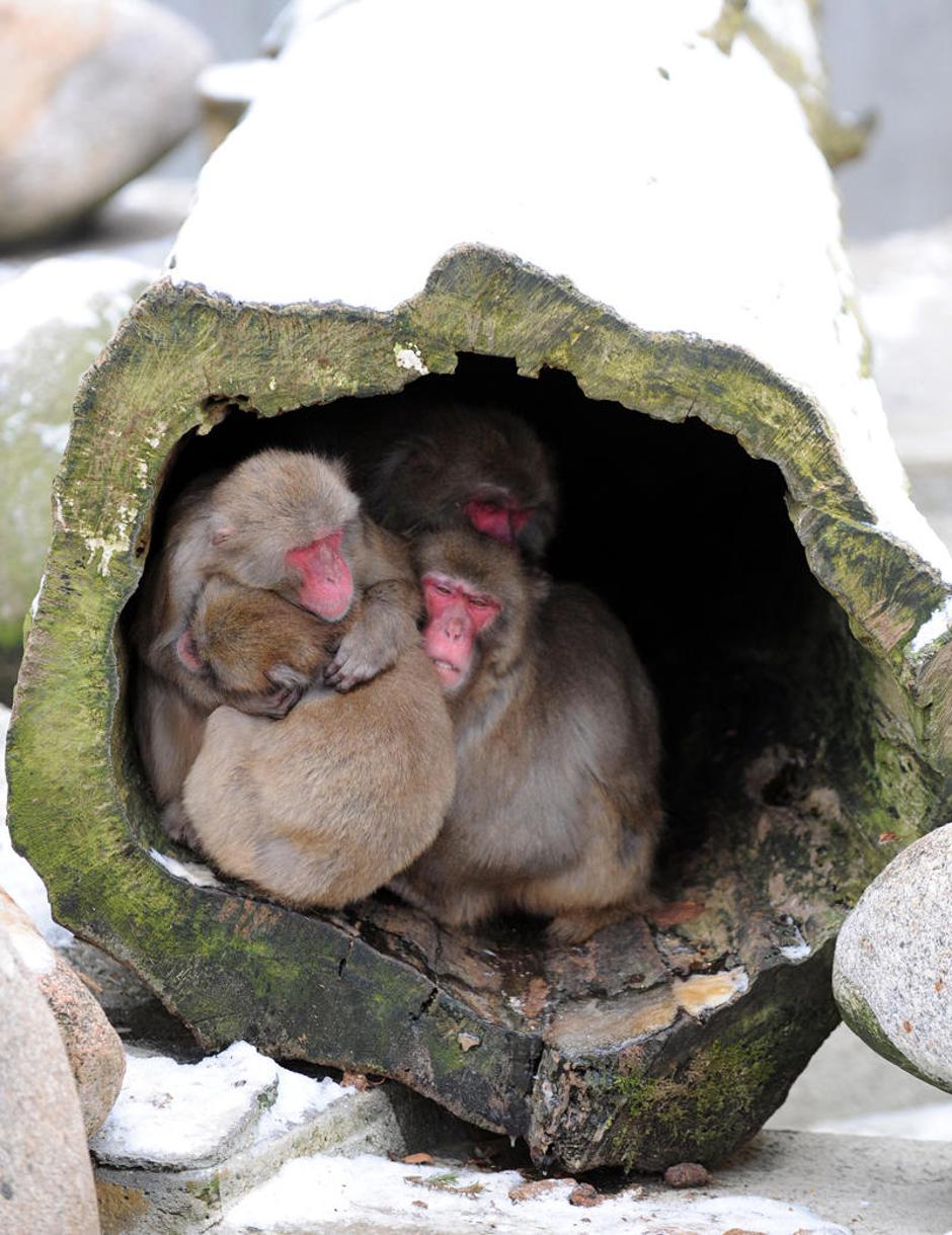  | Avtor: Žurnal24 main