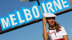 grid girl paddock girls