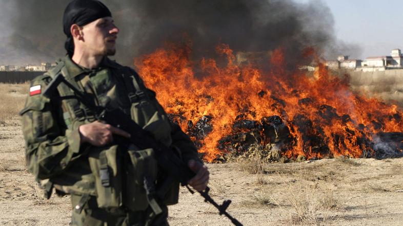 Poljski vojaki se branijo, da so se le zabavali. (Foto: Reuters)