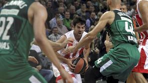 Taylor Rochestie Crvena zvezda