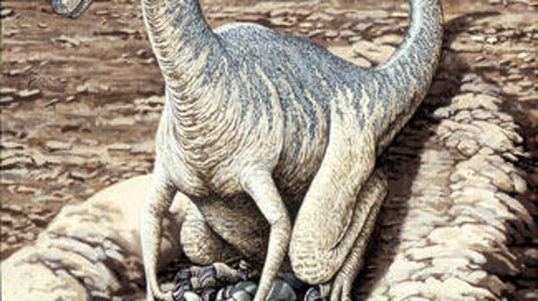 Ilustracija samca dinozavra, ki varuje in vali jajca.