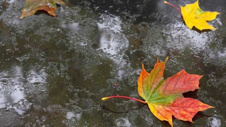 Deževni jesenski dan