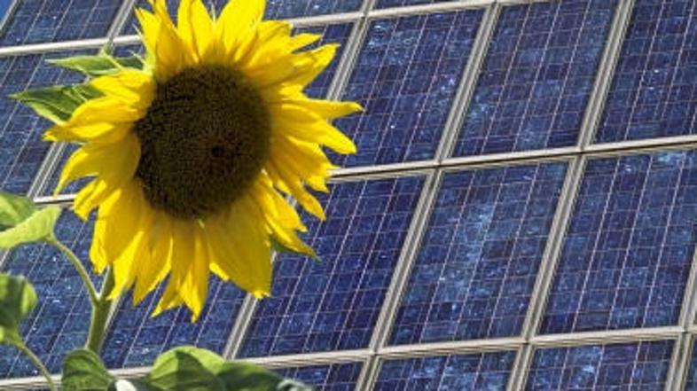 Nekateri nemški proizvajalci sončnih celic so morali zaradi prevarantov odpuščat