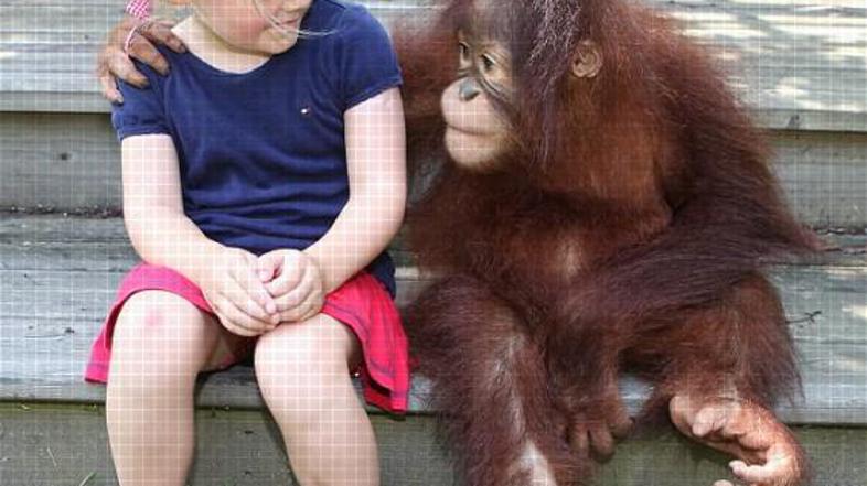 Emily in Rishi nista pozabila na drug drugega. 