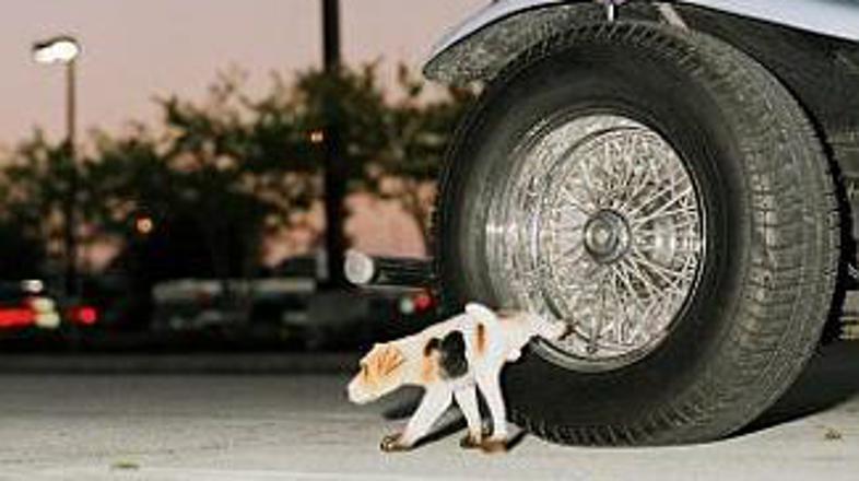 Ločevanje vodika iz urina se je izkazalo za precej manj potraten proces kot loče