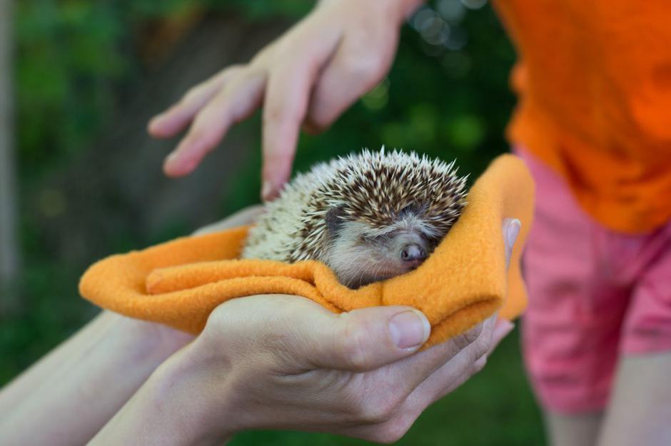 ambasadorji nasmeha | Avtor: Anže Petkovšek