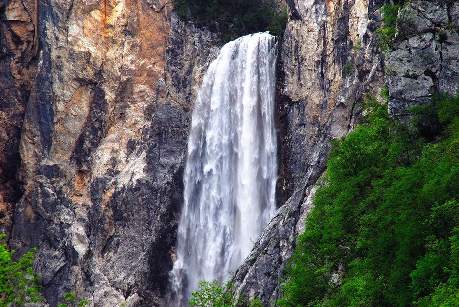 Slap Boka | Avtor: Profimedia