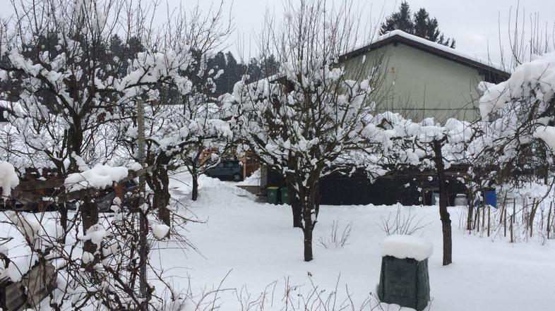 Novo sneženje na Gorenjskem