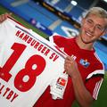 Lewis Holtby