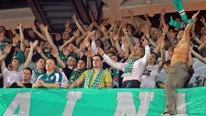 Olimpija - Panathinaikos, navijači