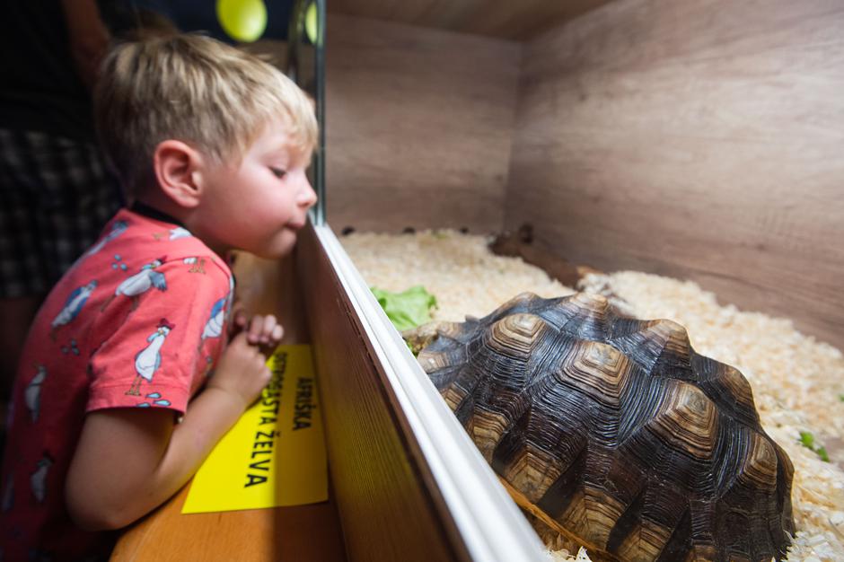 sejem | Avtor: Anže Petkovšek