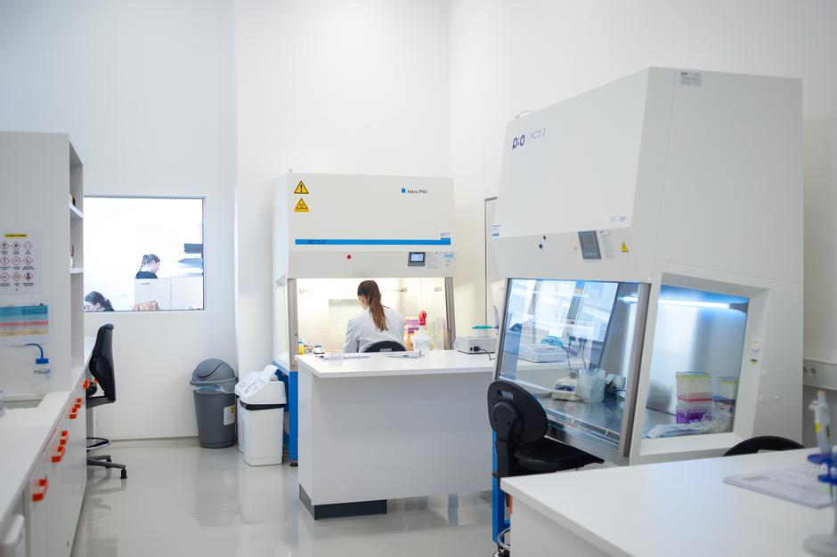 Jafral | Avtor: Anže Petkovšek