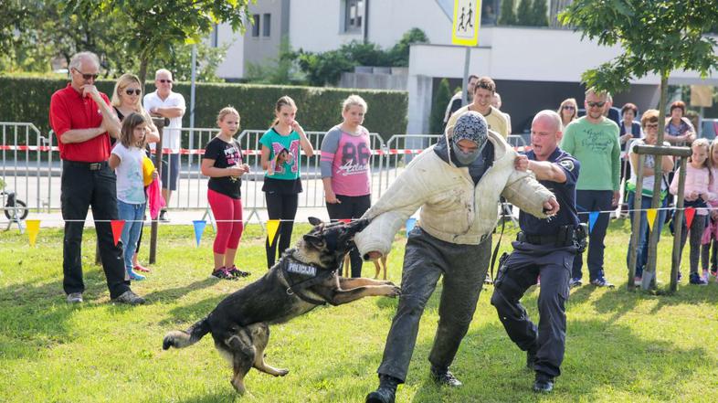 Sejem za ljubitelje živali