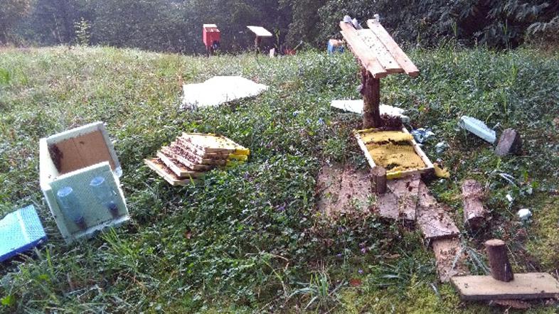 Razdejanje po obisku medveda