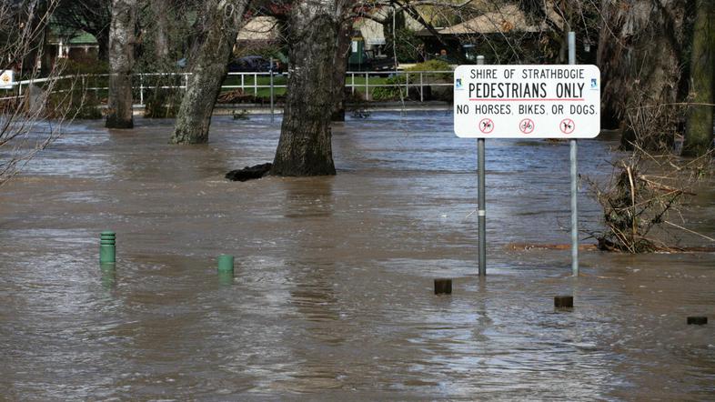 Domove je moralo zapustiti na stotine Avstralcev. (Foto: Reuters)
