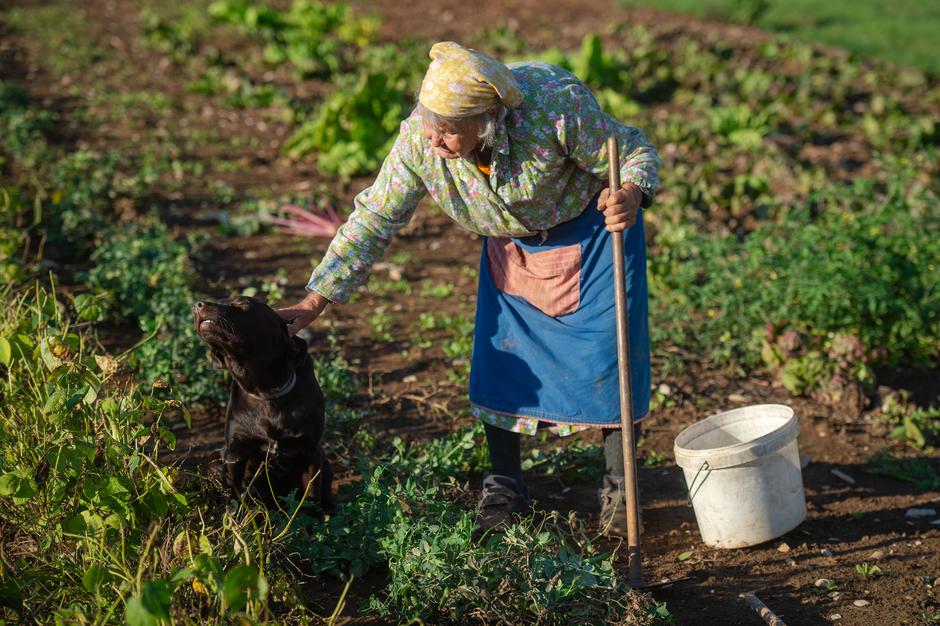 Francka Mljač | Avtor: Anže Petkovšek