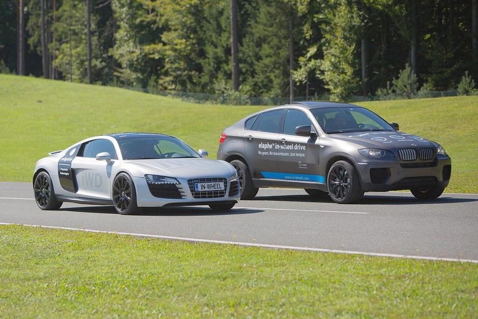 Elaphe | Avtor: Elaphe