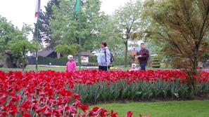 V Mozirskem gaju že cveti več kot 400 tisoč rož, gredice pa je zasadilo okoli 60