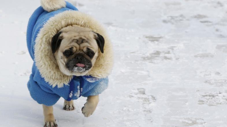 Sneg in Mraz v Evropi