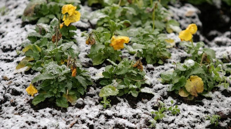V naslednjih dneh nas lahko preseneti sneg. (Foto: Barbara Milavec)